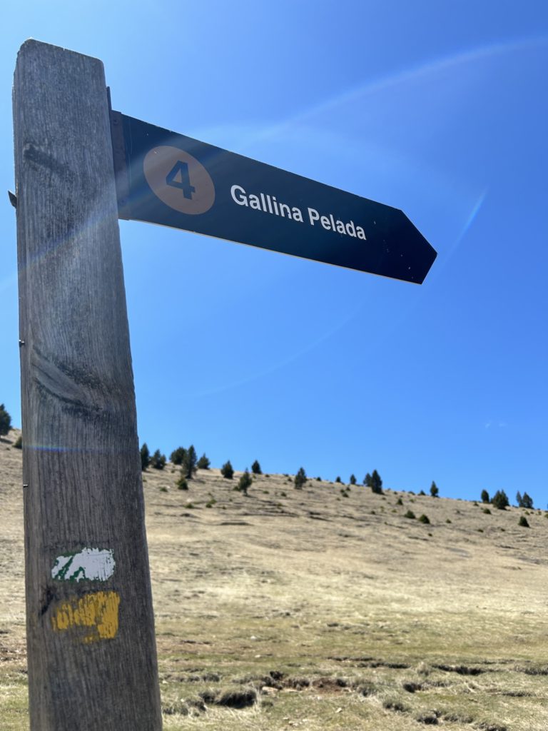 Refugi_serra_d_ensija