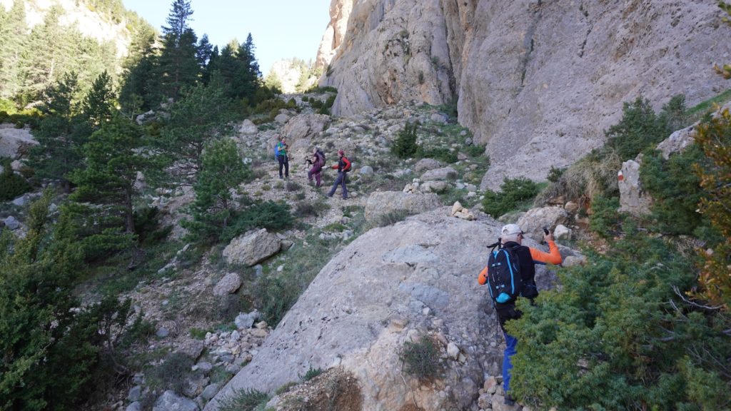 Roca_Gran_de_Ferrus